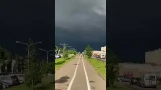 Погода в Витебске