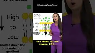 Cell Transport Type Quiz: Facilitated Diffusion vs Active Transport vs Simple Diffusion