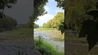 2 августа 2020 г.
