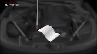 K9 - Check the engine oil level GDI