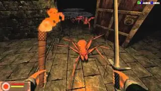 Castle Torgeath Descent into Darkness PC Gameplay