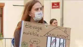 Manifestation contre un projet de poulailler 