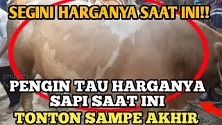 UPADATE HARGA SAPI SAAT INI, PASAR PON BAWEN