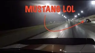 Will the COWMARO ever LOSE? Fastest  YOUTUBER?