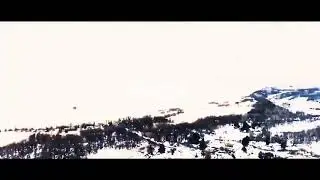 Паша Пэл #31