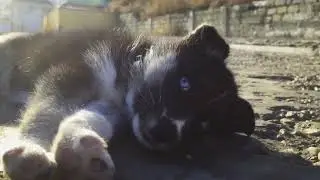 НОВЫЙ ГОД на МОРЕ