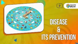 Diseases And Their Prevention| Grade 5 Science Experiment | Sparklebox