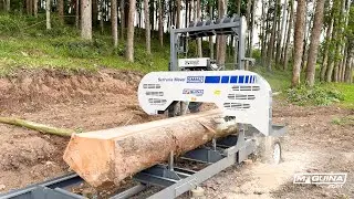 Transformando Uma Árvore Em Dinheiro Com Uma Serraria Da Maquinafort