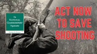 WELSH GAME BIRD REVIEW: THE NGO NEEDS YOU