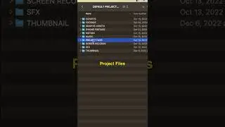 The MOST EFFICIENT FOLDER STRUCTURE For VIDEO EDITORS (Organization Tips)
