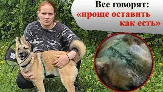 Черепно-мозговая , трепанация, итог.