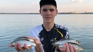 БАТОНИСТАЯ ПЛОТВА ПРЯМ ПОД БЕРЕГОМ. Ловля на мах.