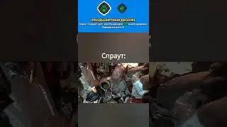 Спраут в реал лайф          #мем #bs #memes #brawlstars #meme