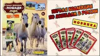 PANINI New! Sticker Album: The World's Most Beautiful Horses 2023. Review and unboxing!