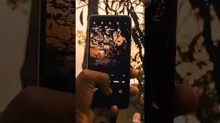 #trendingshorts #youtubeshorts #ytshorts #mobilephotography #realme