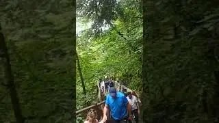 klarnet sesi mest ediyor...