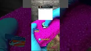 7 БЛОНДИНОК ЭТО СИЛЬНО 