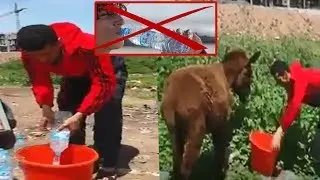 شاب مغربي يعطي ماء 