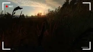 S.T.A.L.K.E.R: Истории с болот (Пилотная серия)