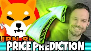 Shiba Inu Coin | SHIB Price Prediction!