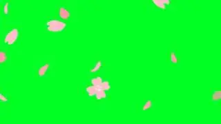 Flower falling Green Screen Effect New 2021