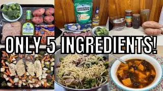 STOP OVER COMPLICATING DINNER! 3 Simple and Flavorful Meals ~ Only 5 Ingredients