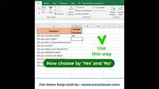 data validation short trick | Yes and No | Excel 
