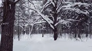 В последний день зимы...