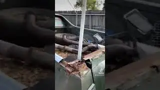 My new 1974 Ford Ranchero 500 Project