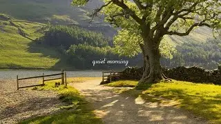 a playlist for a quiet morning ☘️🍃🌄