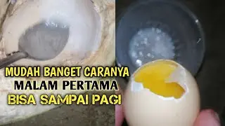 JAMU NENEK MOYANG DULU SETELAH MENIKAH