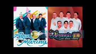 DJ JUAN-MIX ARMONIA 10 VS AGUA MARINA 2024-EXITOS DE ORO