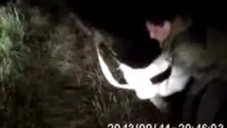 ОХОТА НА ЗАЙЦА ПРИКЛАДОМ