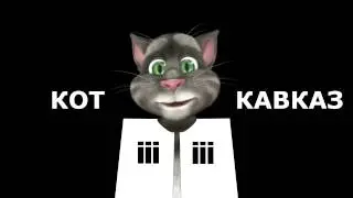 Кот Кавказ   Три в одном 22
