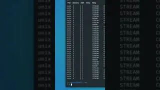 How to Use the netstat Command|