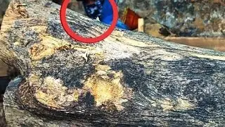 the size of the wood like this that makes my body ache all over.
