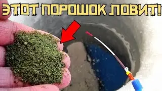 ОНО ЛОВИТ в МАРТЕ?! Накормил ЗЕЛЕНЬЮ и КЛЮЁТ! Рыбалка 2024