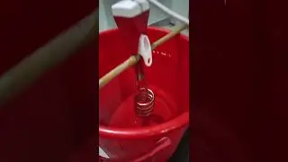 #somex