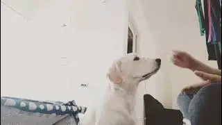 Lucy learning commands - Part 1