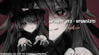 плейлист для ежедневной рутины