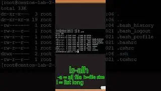 Basis #linux bash skills