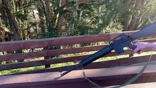 Kot and AR15