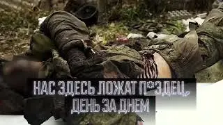 Enem - Слышал у вас там стреляют!?