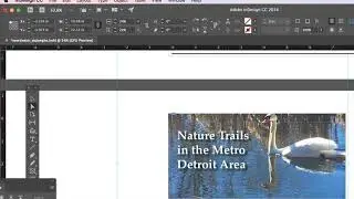 Image Proportion in InDesign CC