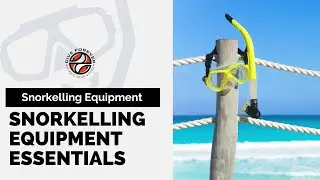Snorkelling Equipment Essentials
