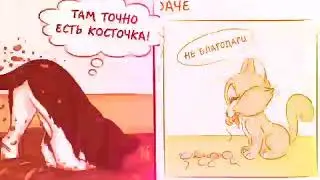 Собаки 🆚 кошки