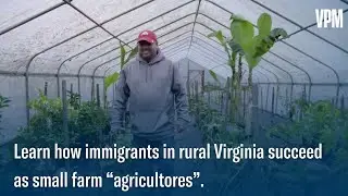 Immigrant Farmers Learn To Succeed as “Agricultores” With Support From Local Resources