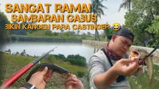 potensial nya spot sekitar rumah?! Sangat ramai Sambaran gabus😂#babaangler #castingikan #ikangabus