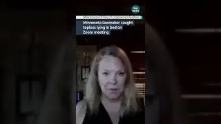 Minnesota lawmaker caught topless lying in bed on Zoom meeting 