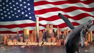 Крупнейшие города США